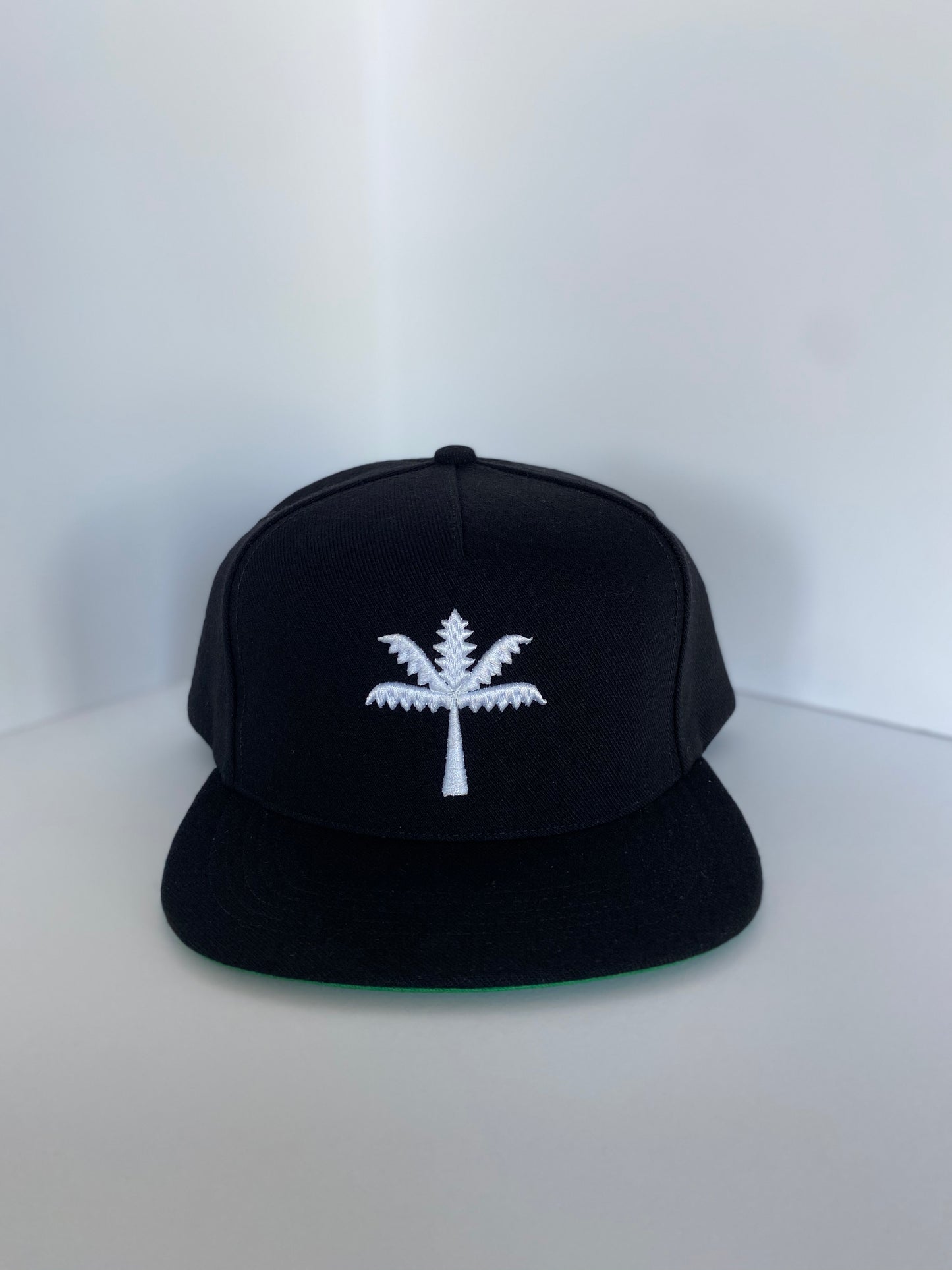 BIG PALM 5 PANEL SNAPBACK