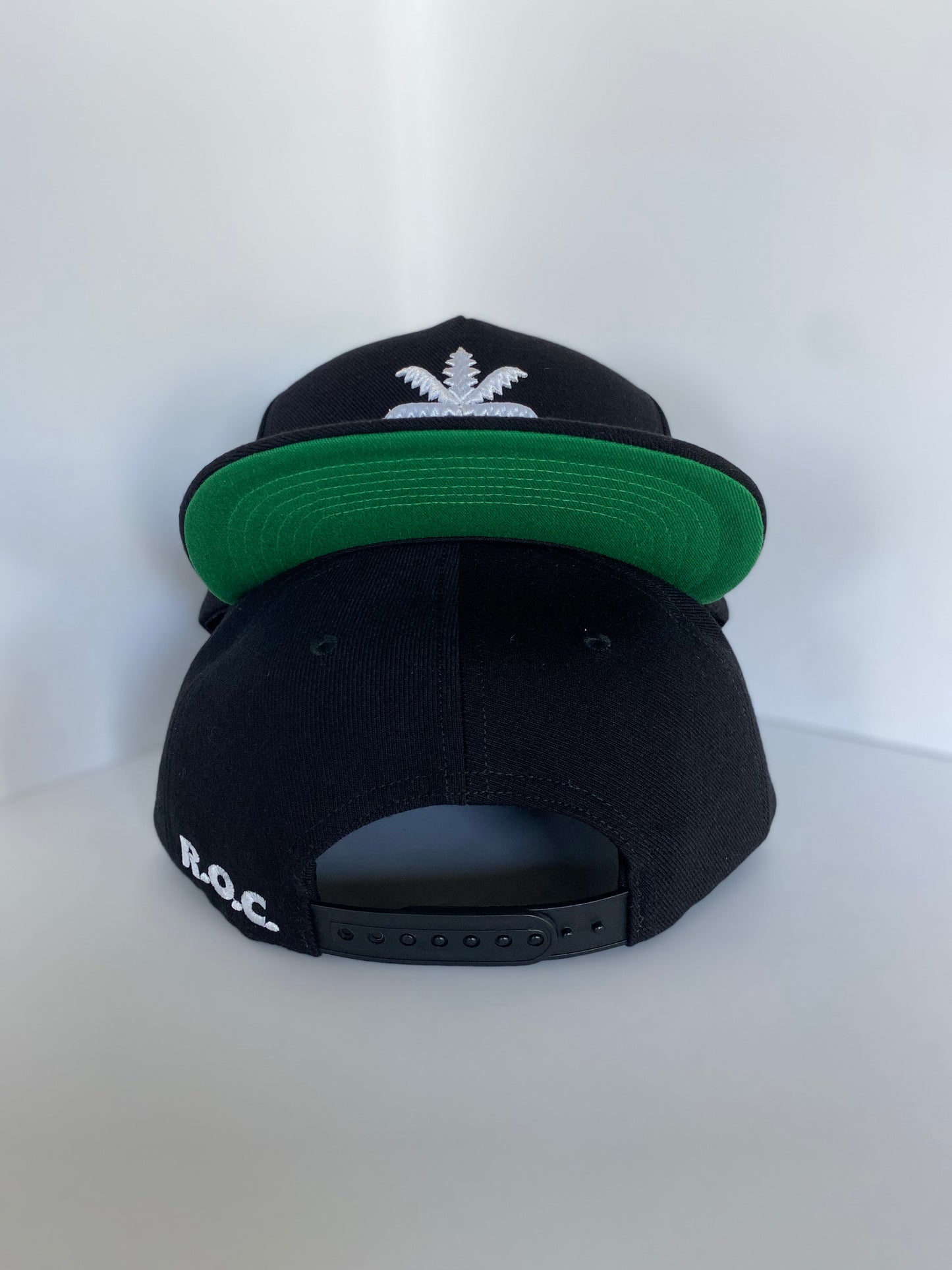 BIG PALM 5 PANEL SNAPBACK